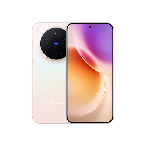 vivo X300