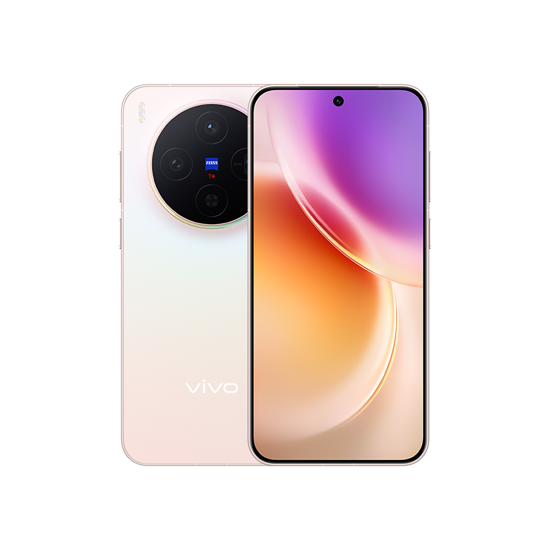 vivo X300